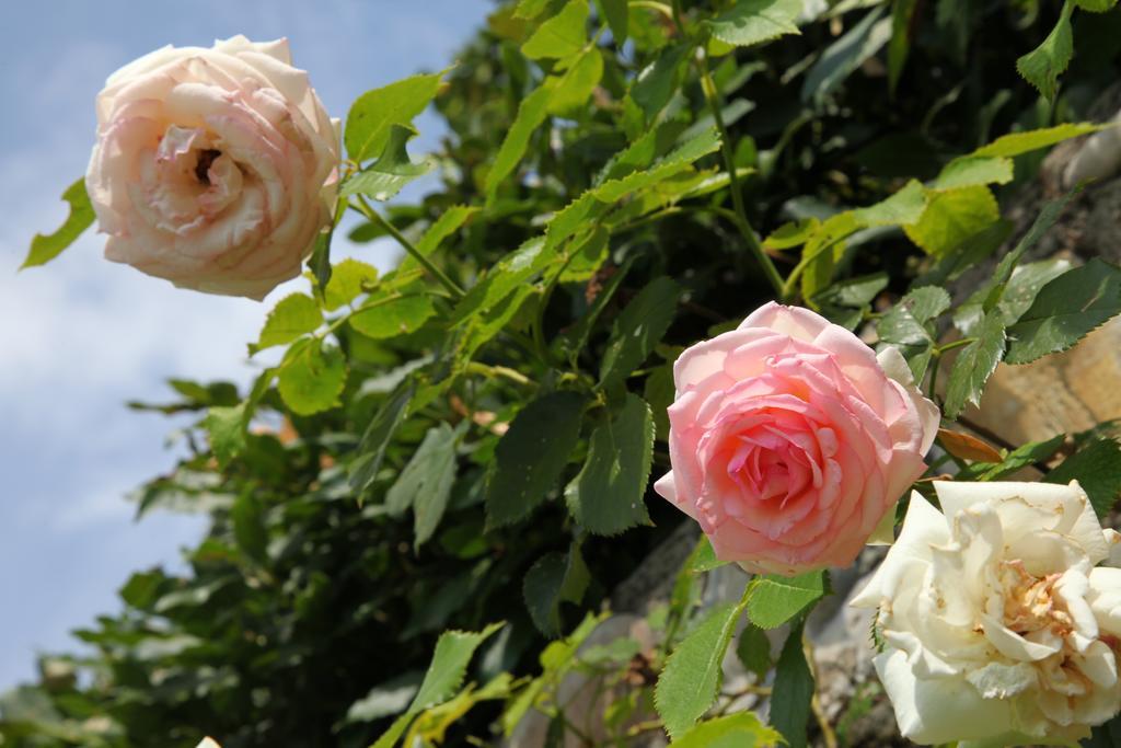 Bed and breakfast Rovezzano Florencia