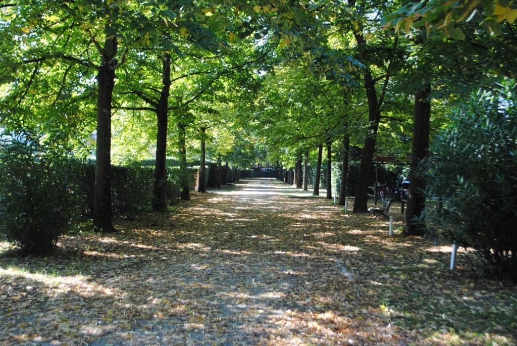 Rovezzano Bed and breakfast