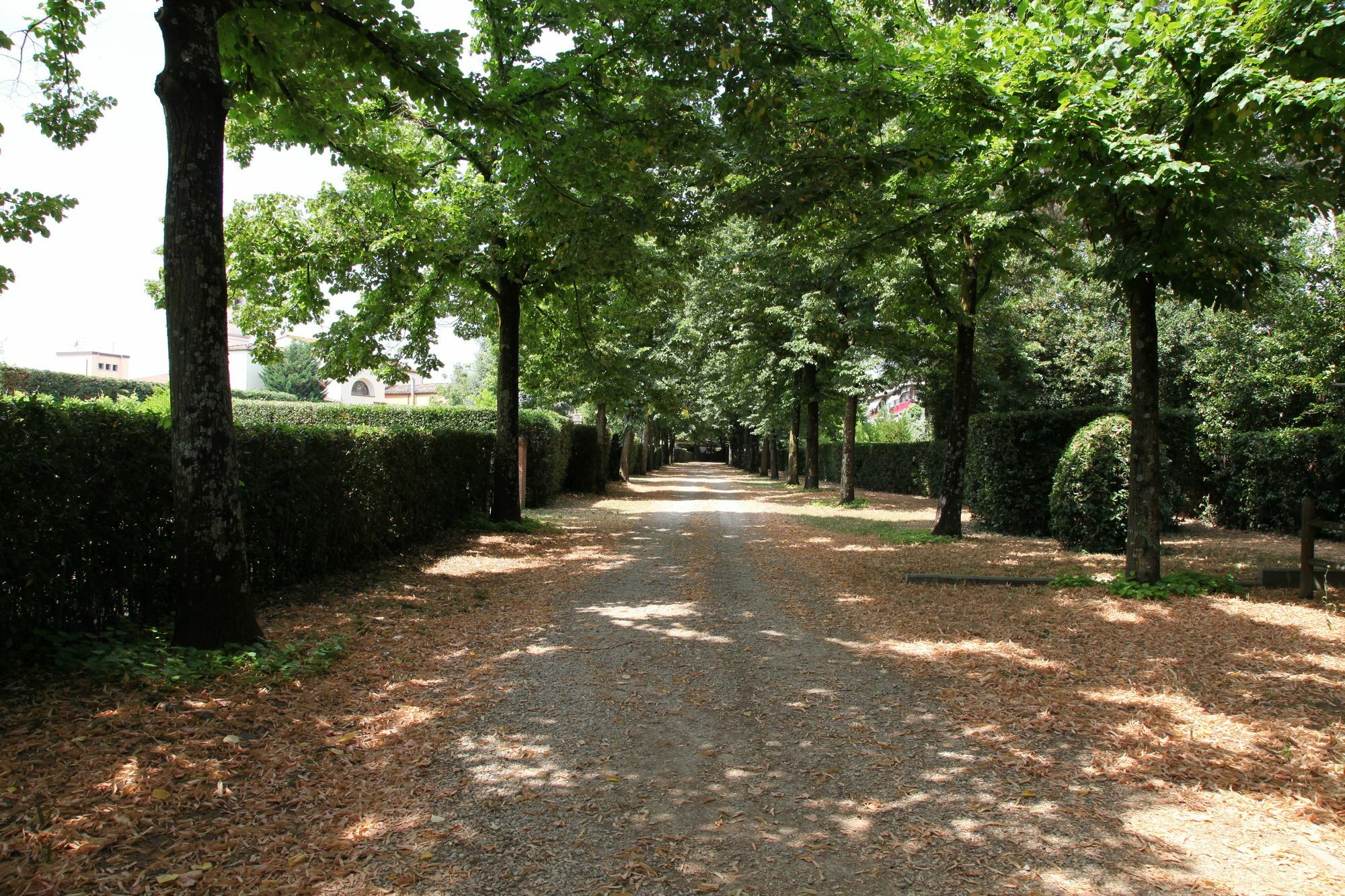 Bed and breakfast Rovezzano 3*